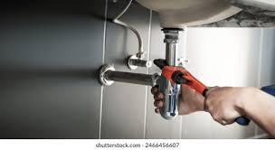 Best Plumbing System Maintenance  in Leesburg, VA